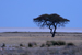 namibia 013